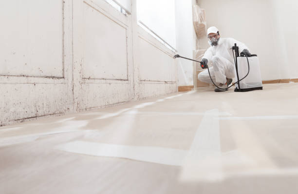 24/7 Emergency Commercial Mold Remediation experts in East Islip, NY
